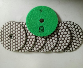 Lá Số Con Gấu
